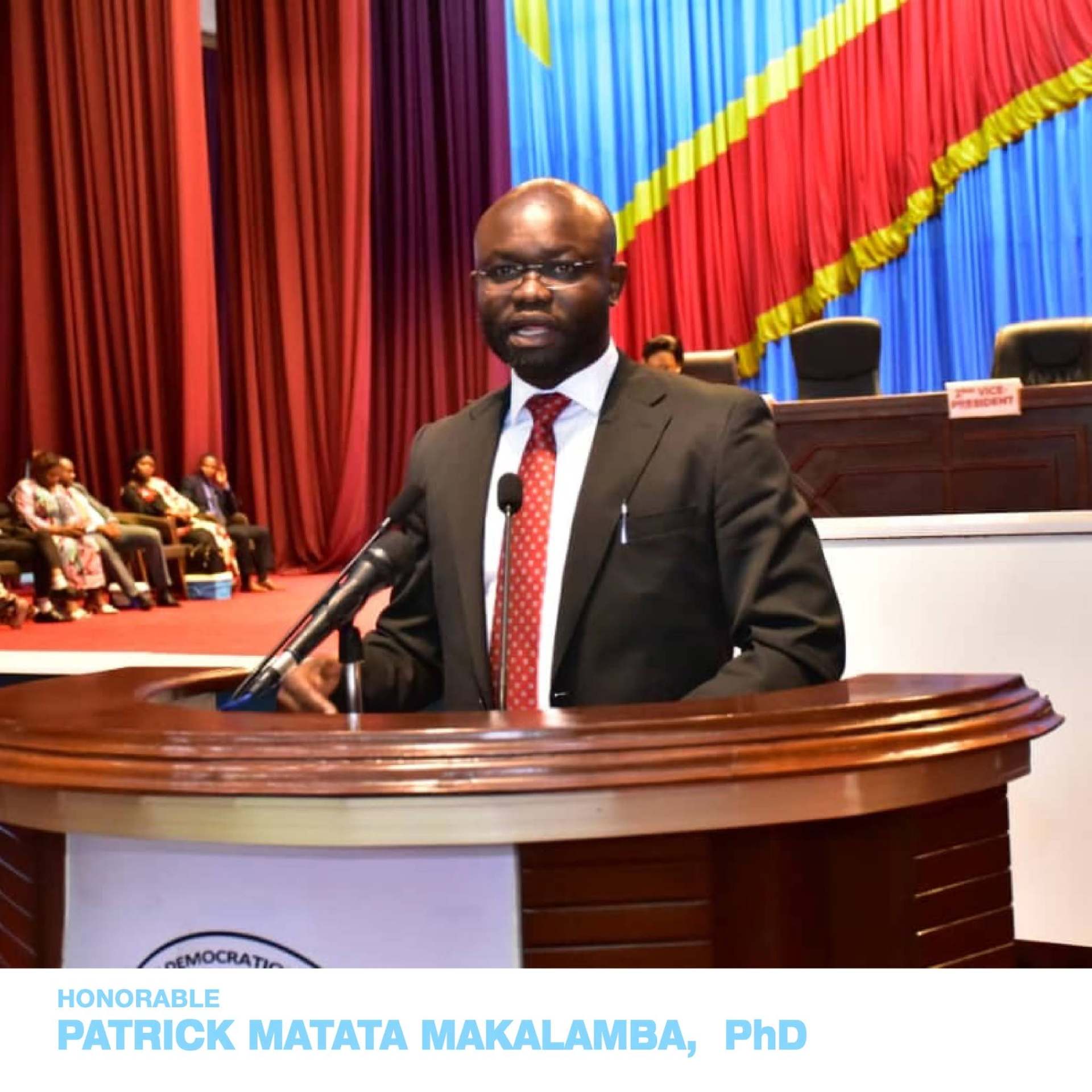 Portrait officiel du Professeur Patrick Matata Makalamba